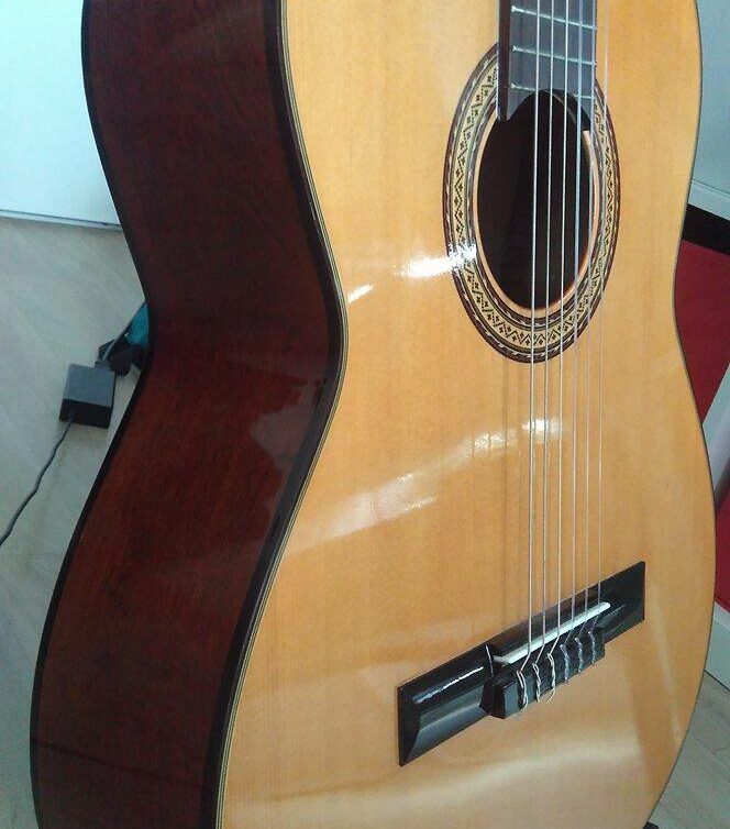 Guitare Aria A549