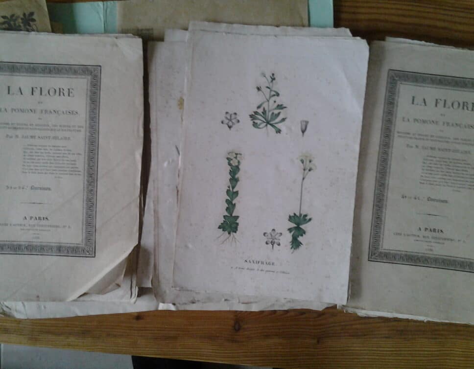 Estimation Livre, manuscrit: La flore et le pomone francaise 1828