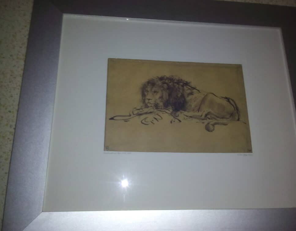 Le lion coucher de Rembrandt