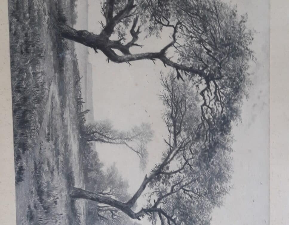 tableau signé ALLONGE  Auguste  arbres