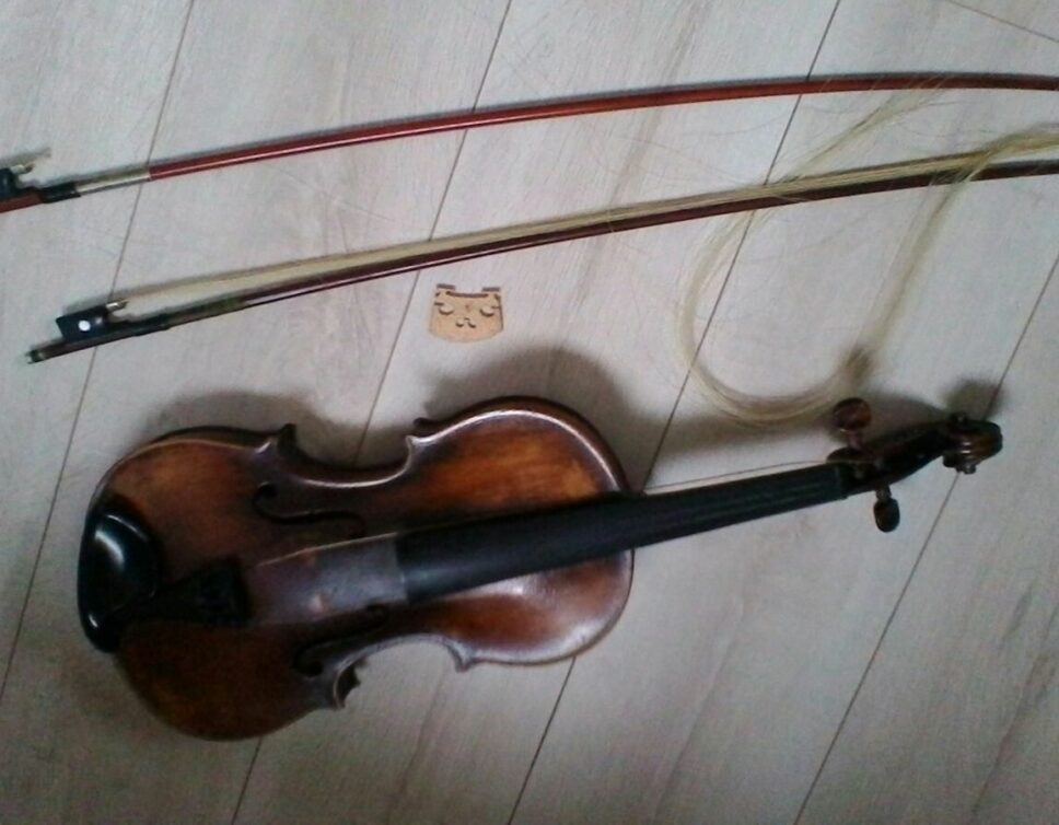violon bruno