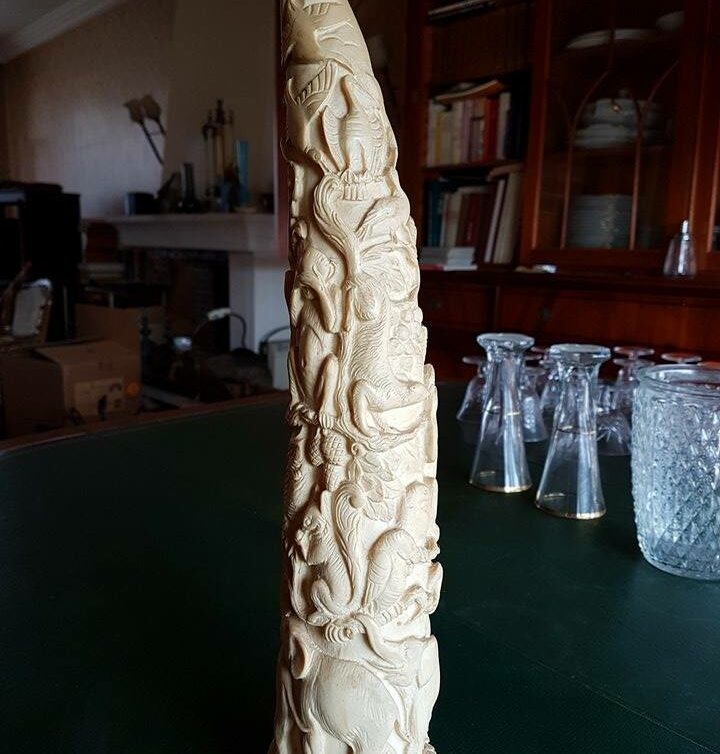 Ivoire sculpté defense  40 cm