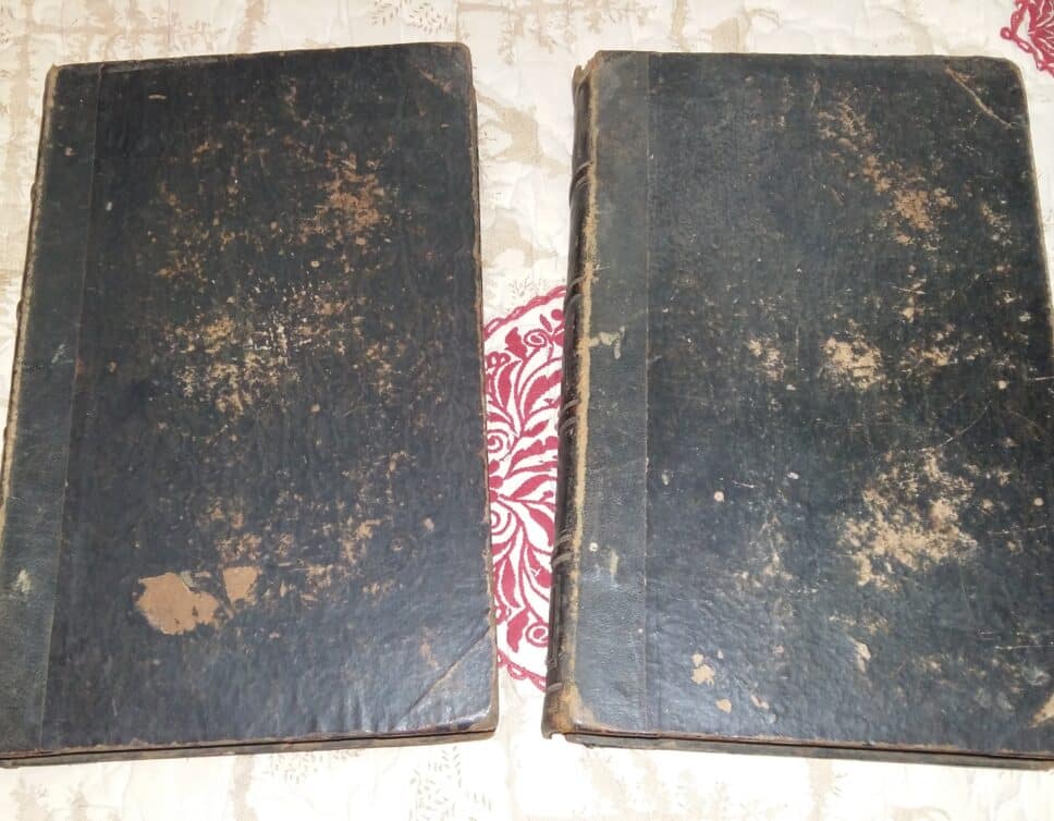 Estimation Livre, manuscrit: 2 livres de L.VIVIEN « Revolution française »