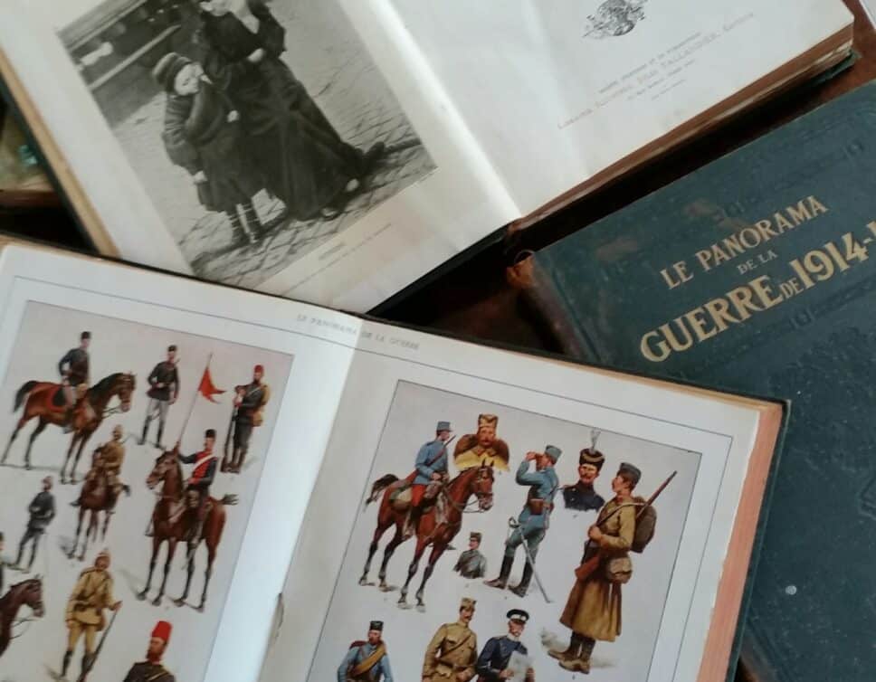 Estimation Livre, manuscrit: Livres anciens Panorama de la guerre de 1914 – 1916