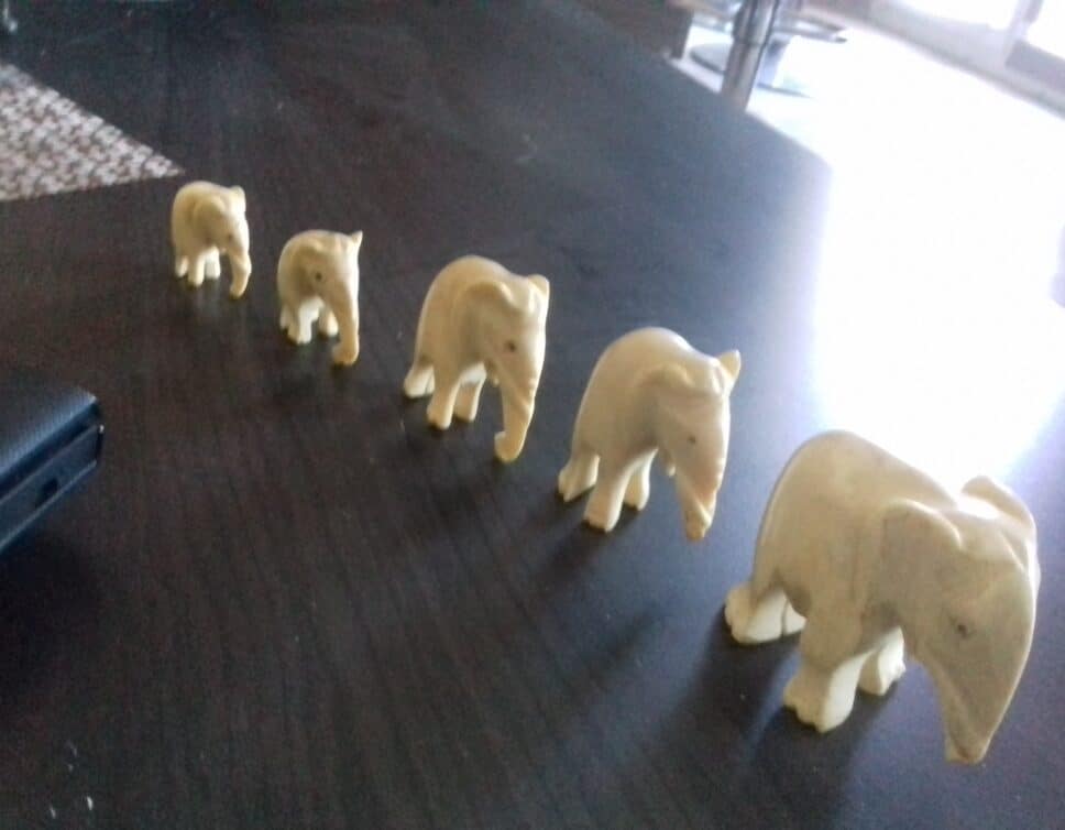 Lot éléphants en ivoire