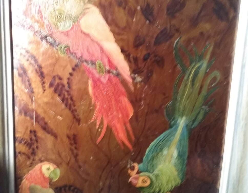 Peinture Tableau, Pastel: Tableau de perroquets