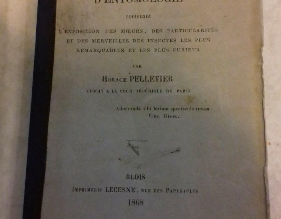 Estimation Livre, manuscrit: Livre Dictionnaire entomolgie 1868