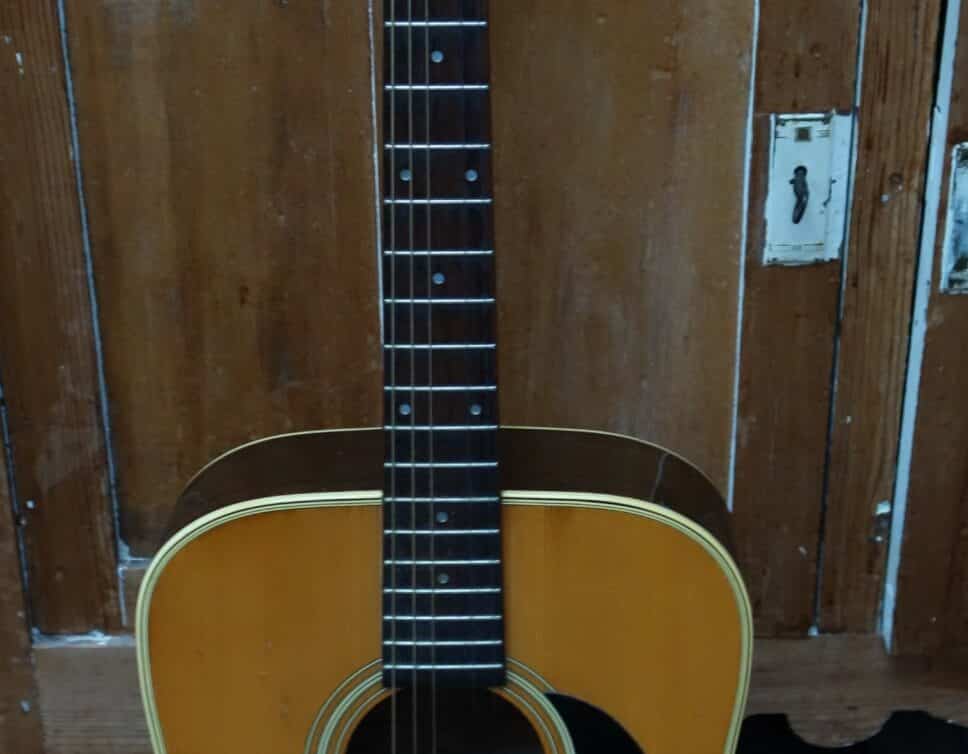 guitare terada fw616