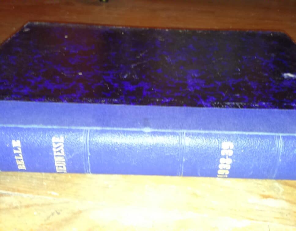 Estimation Livre, manuscrit: Gros livre bleu « Belle jeunesse)