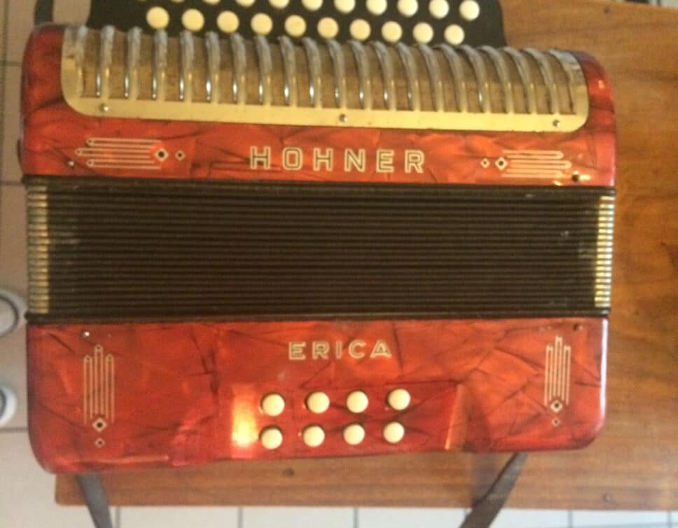 accordéon diatonique hohner erica