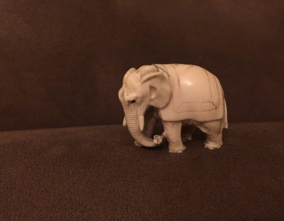 Petit elephant