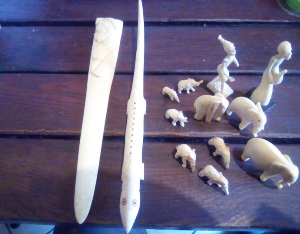 famille elephant et coupes papier