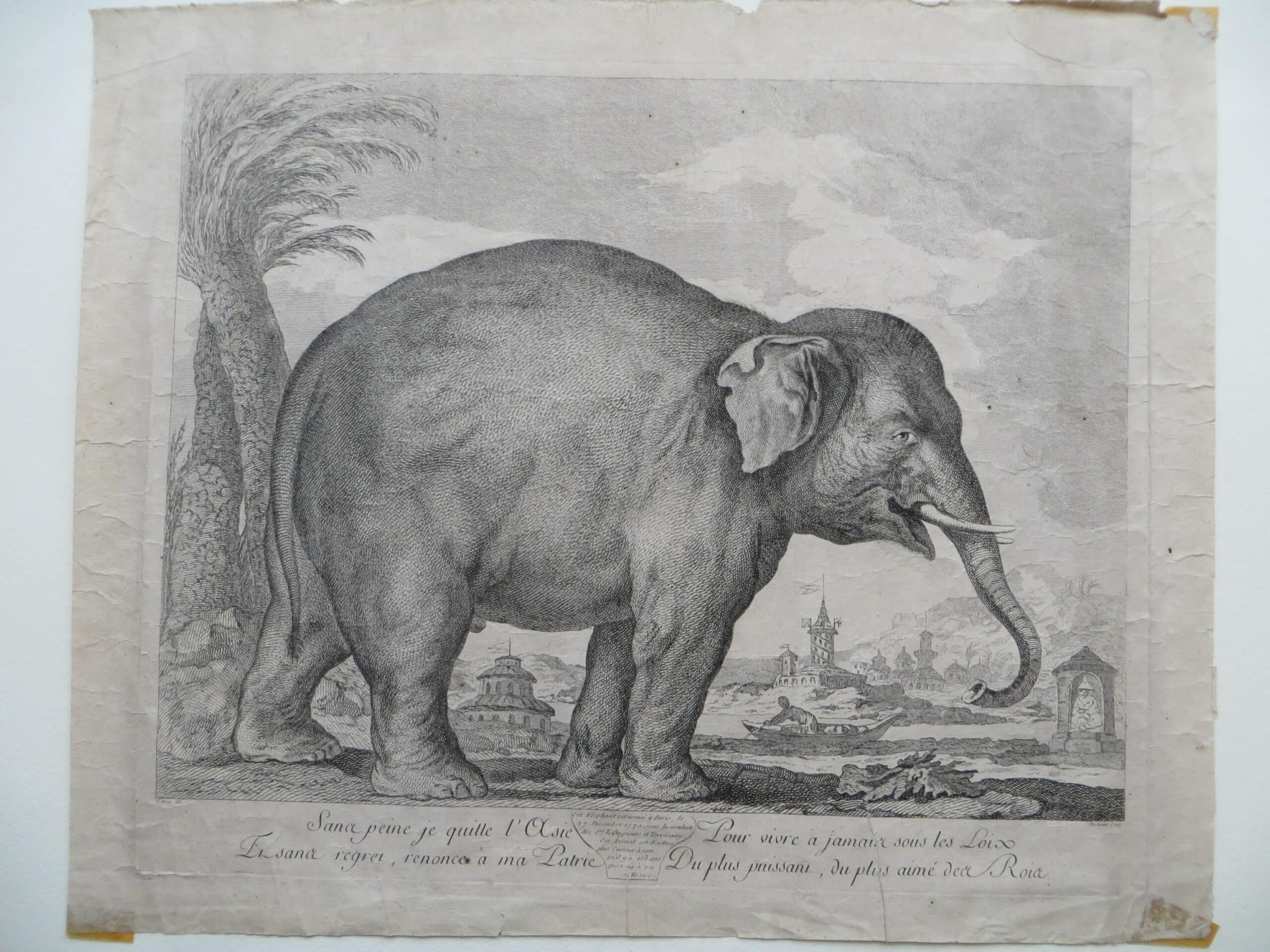 Gravure  » Eléphant arrivée à Paris le 27 décembre 1770″