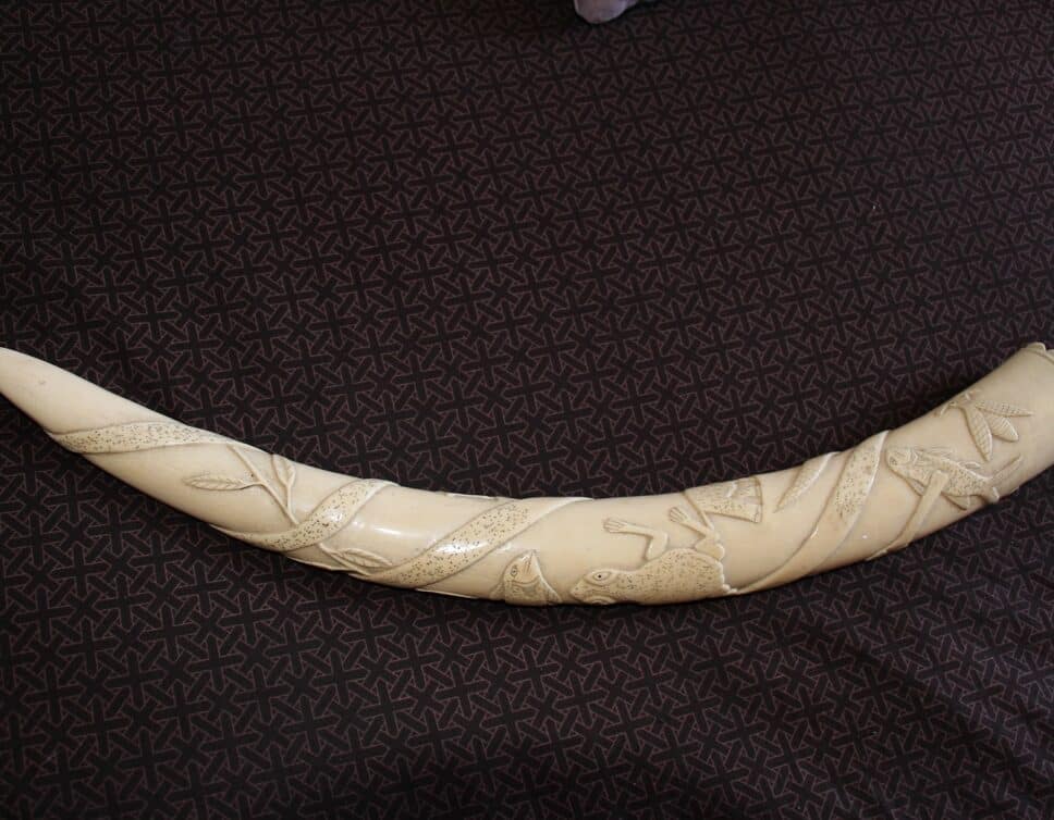 Corne en ivoire sculptée