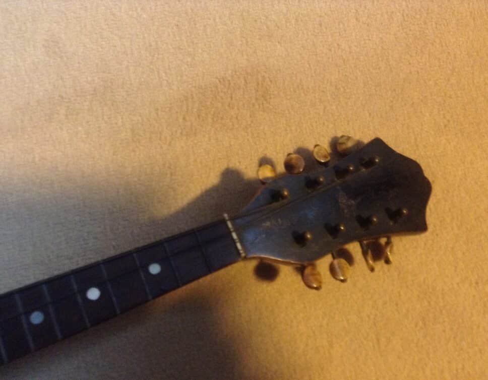 mandoline centenaire