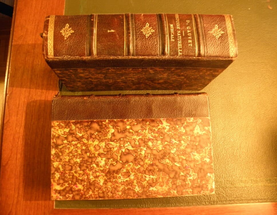 Estimation Livre, manuscrit: 2 Volumes reliés cuir