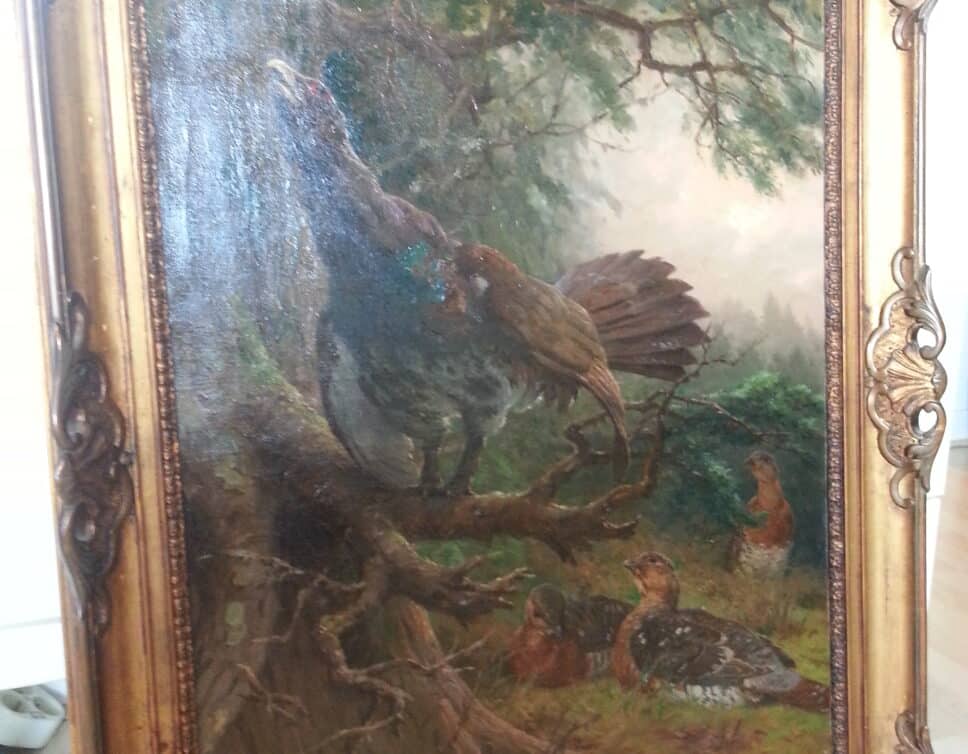 Peinture Tableau, Pastel: Rotig coq de bruyere apelant ses poules à l’aube