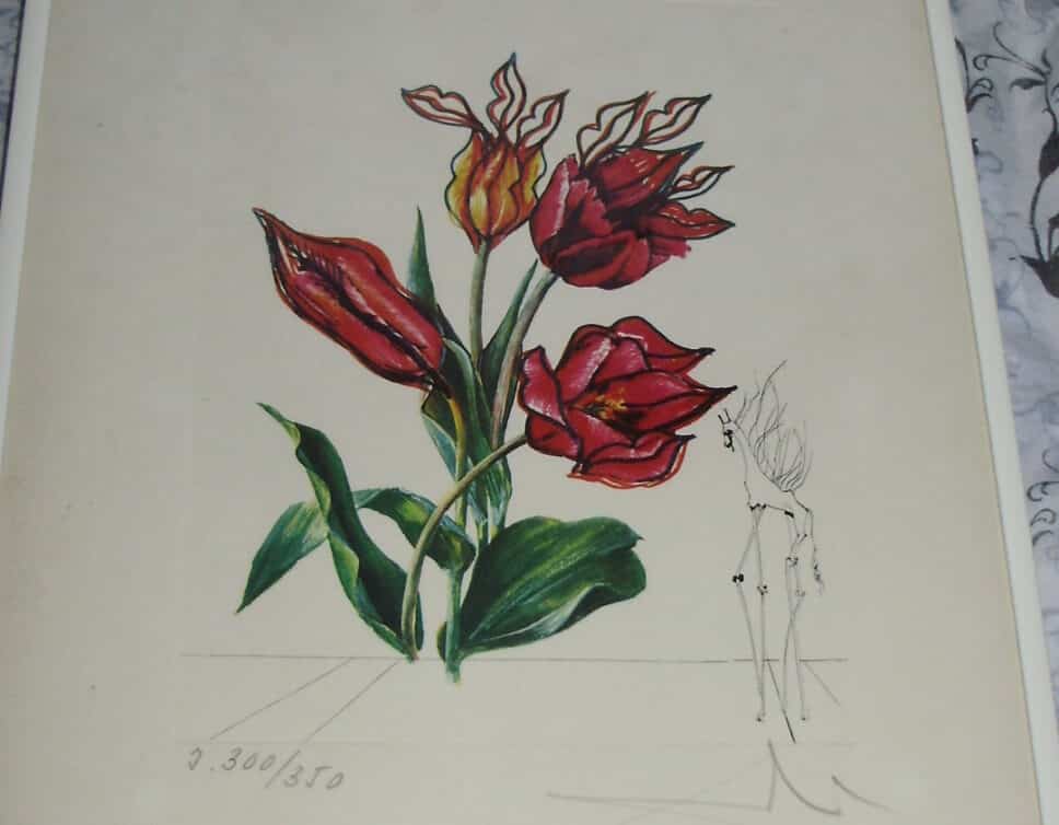 litho dali signée tulipes for the lips+girafe de feu