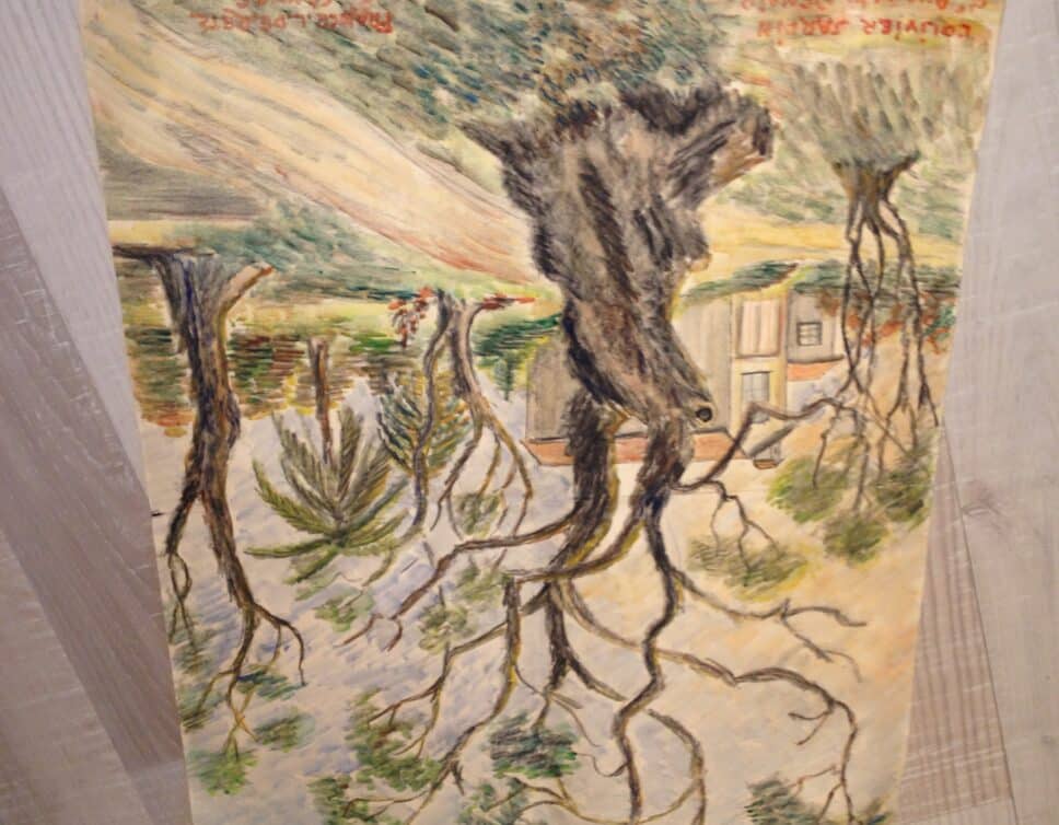 Peinture Tableau, Pastel: L’olivier jardin d’Auguste Renoir