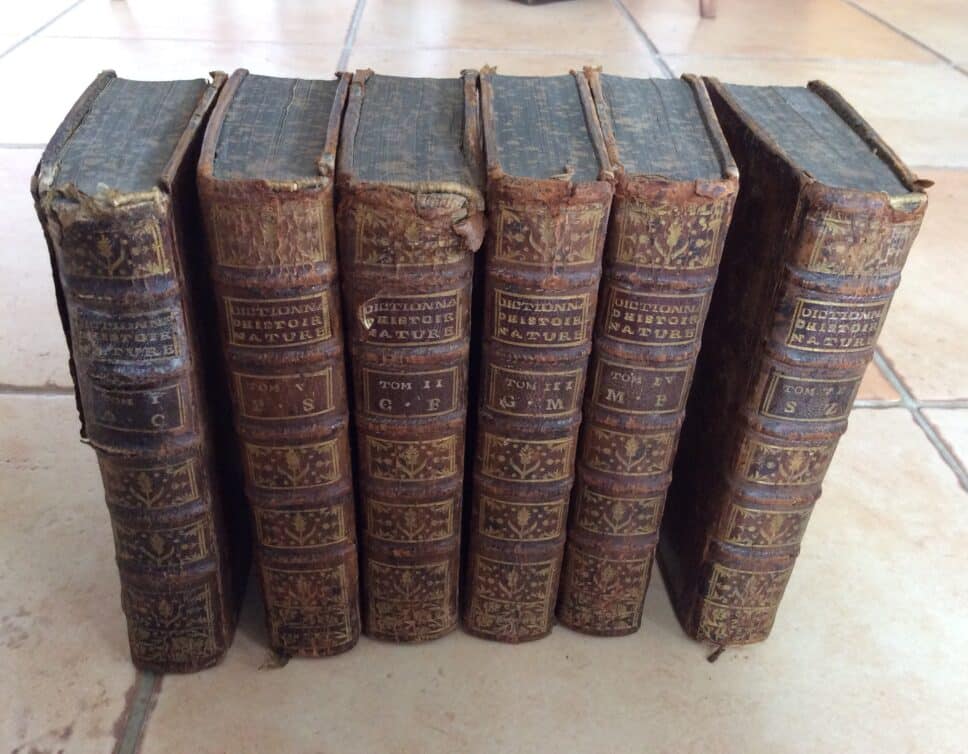 Estimation Livre, manuscrit: Dictionnaire histoire naturelle 6 tomes daté de 1768