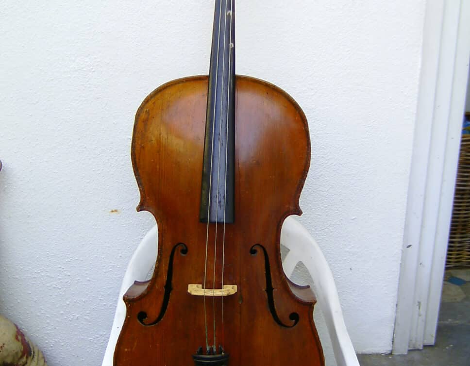 violoncelle Anton Schaendl