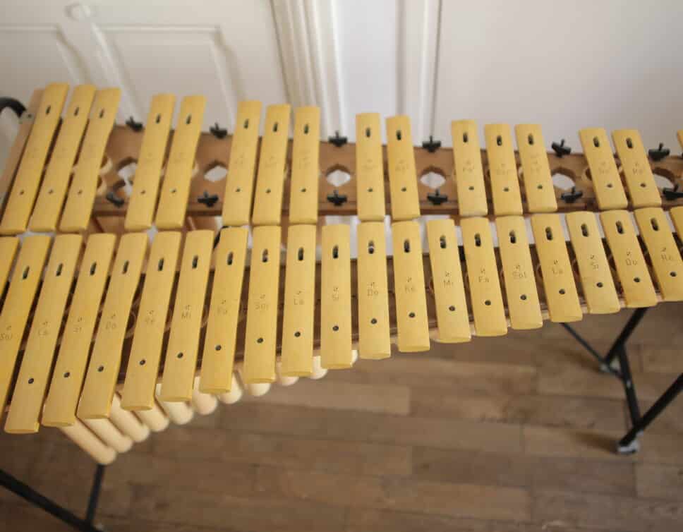 Xylophone ou  Marimba SONOR Percussion