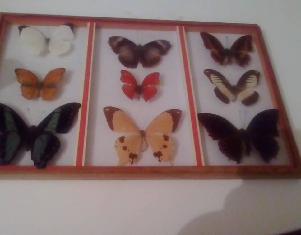 Art d’Afrique: Planche de papillons