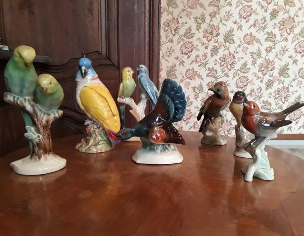 collection oiseaux