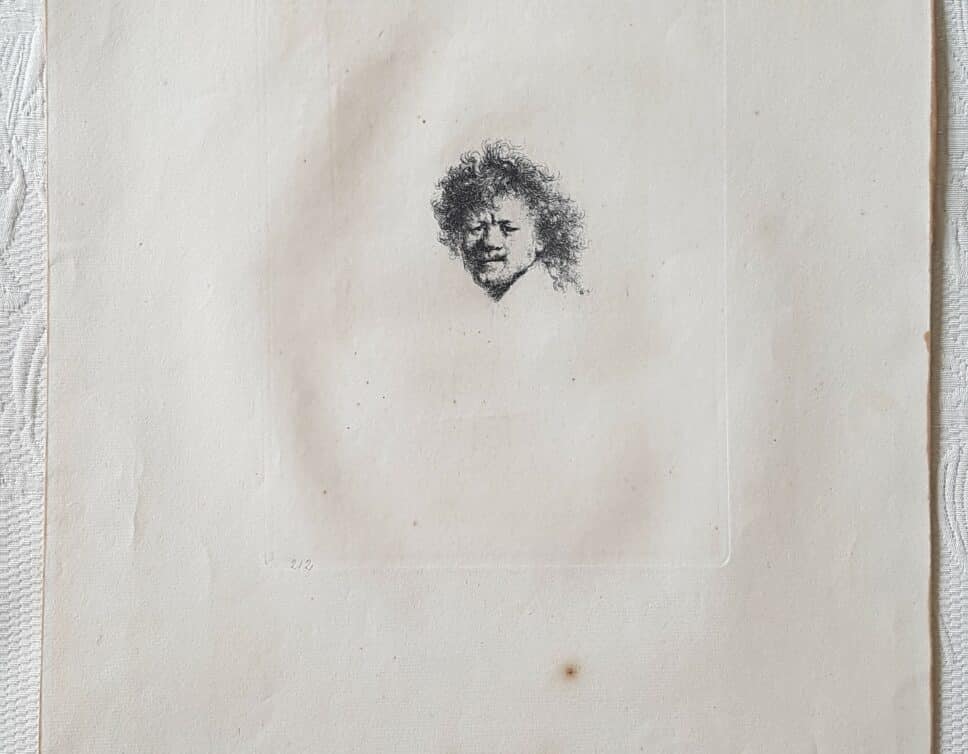 Rembrandt cheveux hérissés