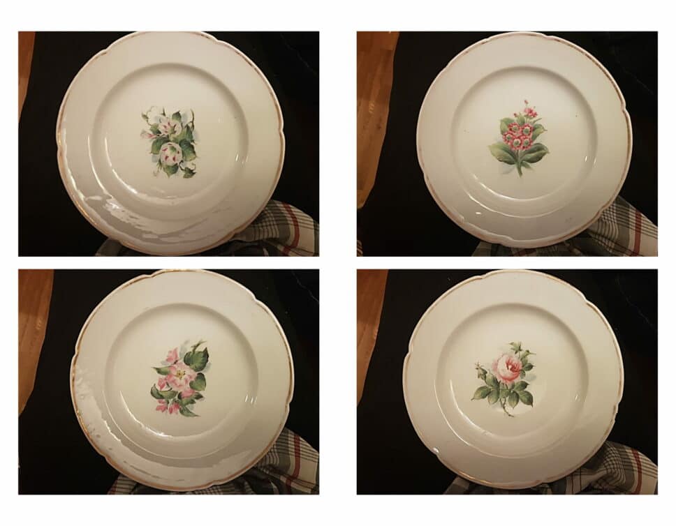 Assiette porcelaine danoise Bing & Grondahl vers 1860?