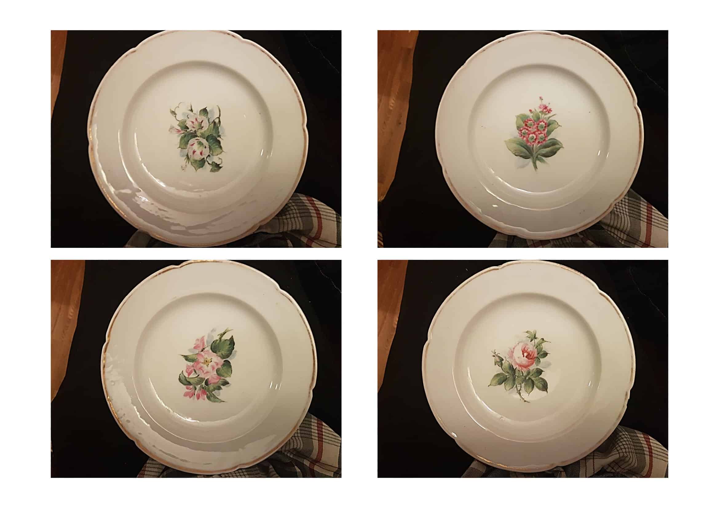 Assiette porcelaine danoise Bing & Grondahl vers 1860?