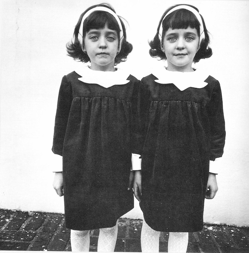 Diane Arbus photograph, Identical Twins, Roselle, New Jersey, 1967. Estimation Diane Arbus gratuite