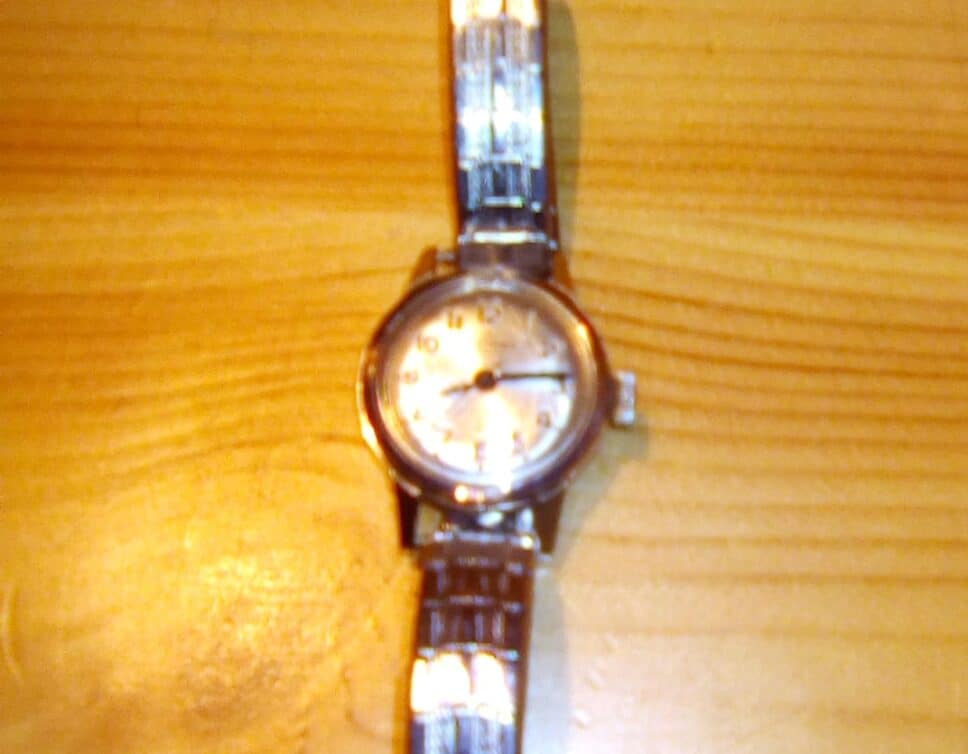 Estimation Montre, horloge: Montre Fleurier Watch