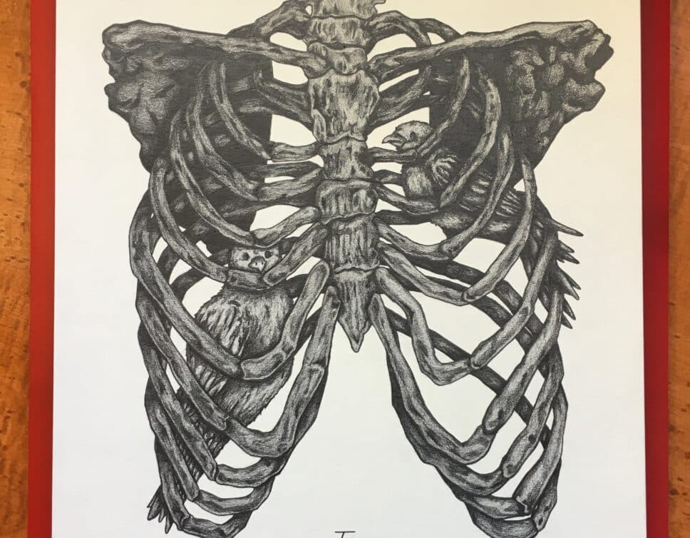 : Le thorax, Tony, crayon gris sur papier Canson 220g/m2