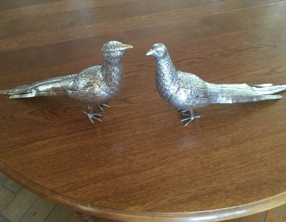 : couple d’oiseaux