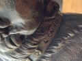Signature de Louis Carvin sur un bronze à estimer